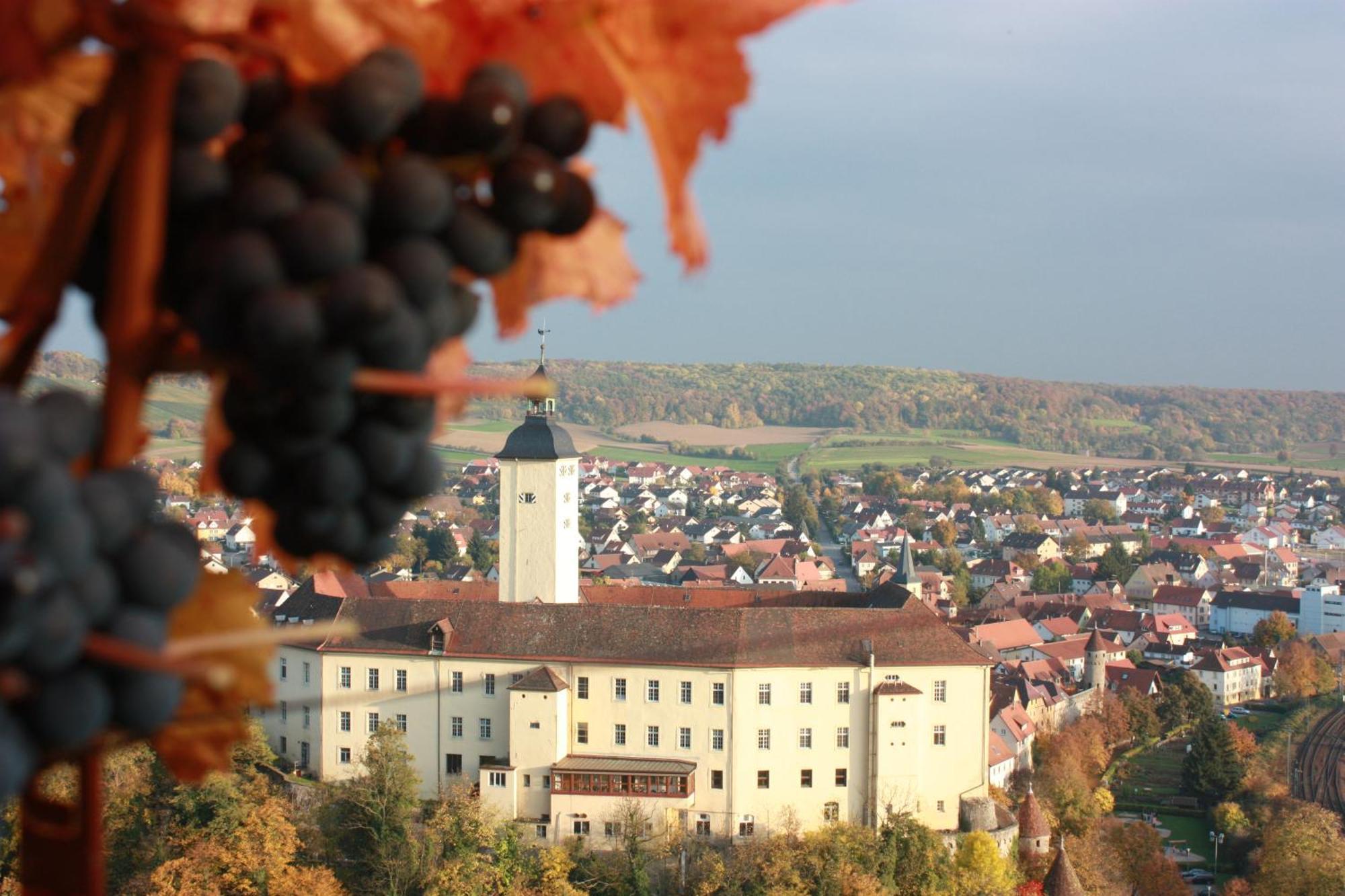 Отель Schell Schokoladen Gundelsheim  Экстерьер фото
